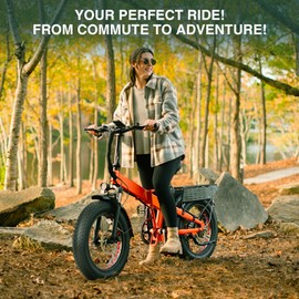 BALINGE 20 x 3.0 Fat Electric Bike Tires 20x3 E-Bike Tire Heavy Duty High-Performance Wear-Resistant E-Bike Mountain Snow 20x3 Bicycle Tires (2 Tires 2 Levers, 20 inch)