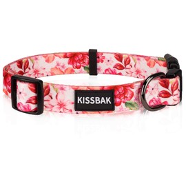 KISSBAK Dog Collar for Small Dogs - Special Design Cute Girl Dog Pet Collar Soft Adjustable Fancy Floral Girl Puppy Dog Collars (S, Pink Poeny)