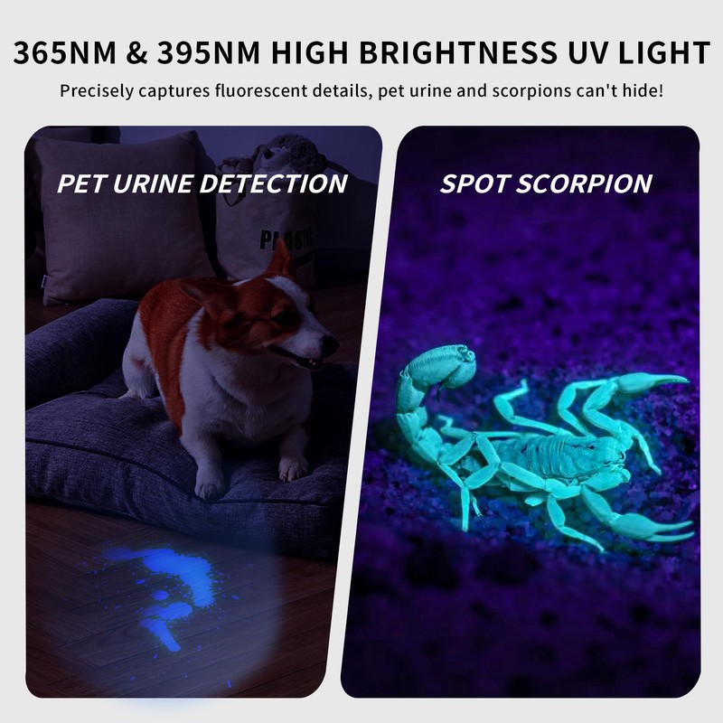 E-riding 2 Pack Black Light UV Light, 395nm & 365nm