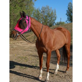 HackFond Horse Fly Mask Generous&Fine Mesh Eye Covers and Ears Elasticity Fly Mask Snug Fitting Comfortable Breathable Lightweight Equine Stretchy Fly Mask Protection for Horses Hot Pink Full