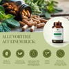 Bitter Substances Capsules with Dandelion, Artichoke & Gentian - Natural