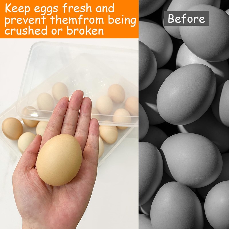 Jgalnim 3Pack Egg Trays,Deviled Egg Containers with Lid,Egg Container Carrier,Refrigerator