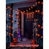 11.5Ft Halloween Flickering Flame Outdoor String Lights,10 Orange C18 Bulbs