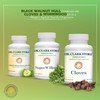 Dr Clark Store Intestine Support & Cleanse Kit - with