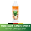 Sauna Infusion Sauna Infusion Steam Bath Concentrate Composition of Eucalyptus