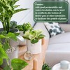 Sukh Horticultural Pumice Stone - Pumice Stone for Plants Succulent