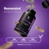 B Life Resveratrol Antioxidante de 400 cápsulas