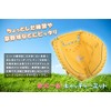 GP 43817 Baseball Soft Catcher's Mitt, General Use, Yellow