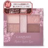  Canmake Perfect Stylist Eyes v24 Mellow Milk Tea Eye