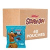 Kellogg's SCOOBY-DOO! Baked Graham Cracker Snacks, Lunch Snacks, Snack Crackers,