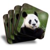 Destination Vinyl ltd Great Coasters (Set of 4) Square -