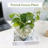 1 Pack Square Glass Vase 5" x 5" x 5",