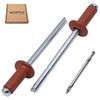SKIR'CO Pack of 100 blind rivets painted 4.0 x 10
