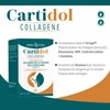 ERBA VITA Cartidol Collagene integratore alimentare in formato stick pack