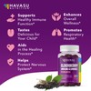 HAVASU NUTRITION Elderberry Gummies for Kids with Zinc and Vitamin