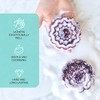 Base de jabón de aloe vera para derretir y verter