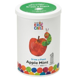 Seishin Ceramics HP-0201 Easy Cultivation Kit, Apple Mint, Herbs, Herbs, Cultivation Set (Free Research/Food), Pot Diameter Approx. 2.8 inches (7 cm), Harapeko Aomushi, Nakayoshi