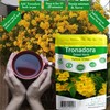 Gabio Green-Tronadora Retama, 16 oz/ 1 pound gr Premium Quality