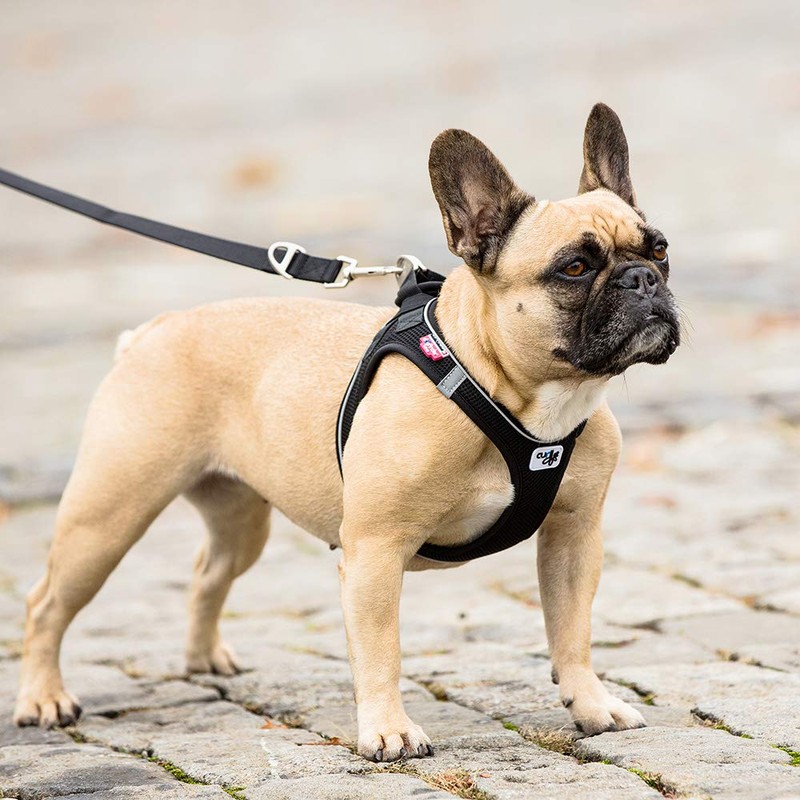 Curli Magnetic Vest Harness Air-Mesh Black 2XS