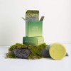 Organic Exfoliating Bars of Soap, Natural Ingredients, Assorted Scents, Icelandic