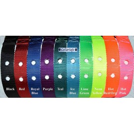 CollarSafe 1" Wide Nylon Replacement Collar w/Heavy Duty Buckle - FITS Most 2-Hole Receiver Modules 1-3/16" Apart - Read Listing - View Photos