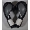 Ring to Cage Gym Training Stand-Up Boxing Gloves -X-Ray Printed