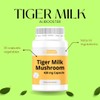 ALIBOOSTER - Mushroom Lignosus Tiger Milk - Tiger Milk 420mg