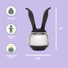 Chef'n SaltBall Grinder (Black and Clear)