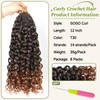 Shoobidoo Pre looped Gogo Curl Crochet Hair 12 Inch 8