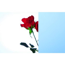 akuri Board EX 402 EX402 SS 2 SS 2 mm