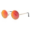 Gleyemor Polarized Small Round Sunglasses for Men Women Hippie Circle