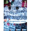 25FT 500 LED Christmas Cluster Lights, Firecracker String Lights with