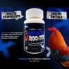 Power Rooster - Vitaminas Y Minerales Para Gallo Oxigenador