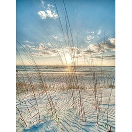 Picture Peddler Among the Grass Robert Jones Photography Coastal Ocean Beach Sunrise Sunset Print Poster 18x24
