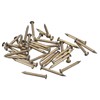 QUARKZMAN Pack of 80 Brass Nails 2 mm x 20
