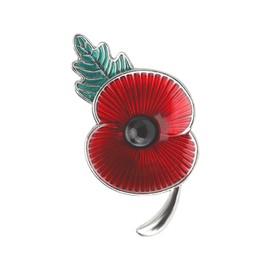 DAWRIS Red Poppy Pin Poppy Badge, Poppy Badges and Pins 2024 Poppy Brooches for Women UK Remembrance Pin Badges 2024 Poppy Pin Badge, Enamel with Green Leaf Alloy Remembrance Day Pin Badges (Silver)