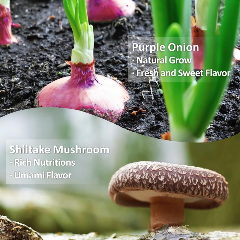Yimi Onion and Mushroom Seasoning Mix, Umami Flavor, Finely Ground