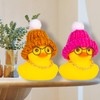 CoFuBcad Car Rubber Ducks Dashboard Decoration 2 Pack Winter Ducks