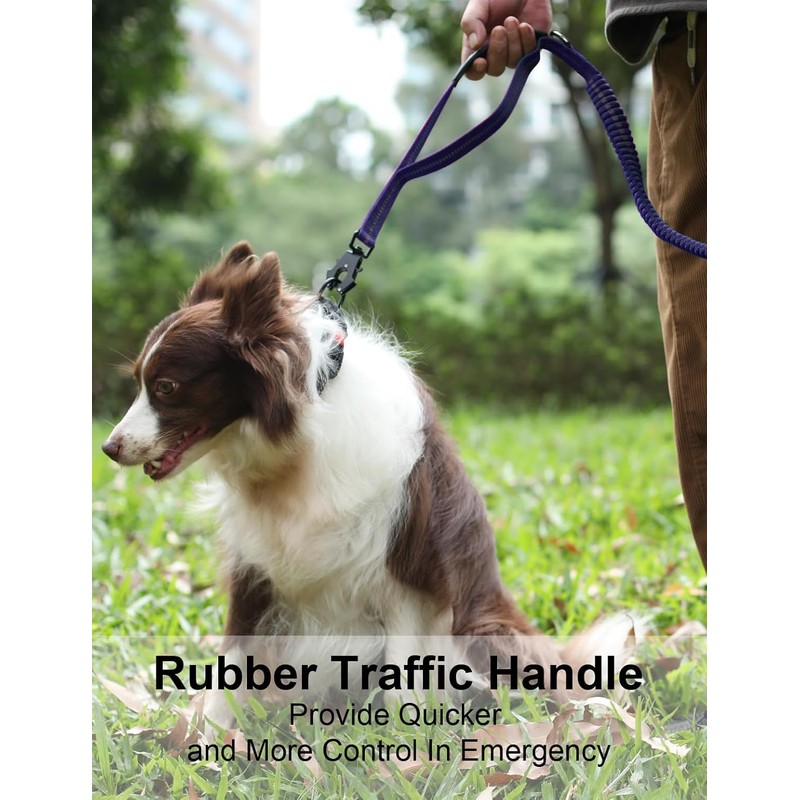 Heavy-Duty Dog Leash, 4-6 feet Shock-Absorbing Tactical Dog Leash, Advanced