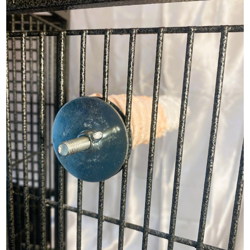 Cuttlebone & Calcium Perch Large Orange