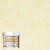 VASARI Lime Plaster & Paint | LIME PAINT | Made