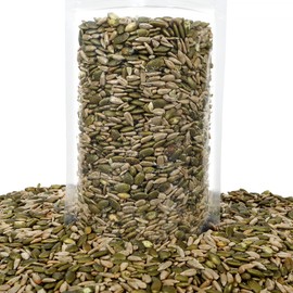 Smarty Stop Roasted Salted Kernel Pumpkin and Sunflower Mix Seeds, No shell (1 Pound (Pack of 1))