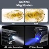 BEBANG 60x-120x Pocket Microscope, Handheld Mini Microscope for Kids with