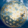 Flower of Life Sticker 9 cm with Protective Varnish Transparent