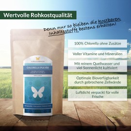 500 g Chlorella Powder, 100% Natural, Residue Controlled, No Additives, Broken Cell Walls, Gentle Processing at Low Temperatures (500 g)