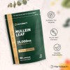 Mullein Leaf Extract 25,000mg | Max Strength Formula for Men