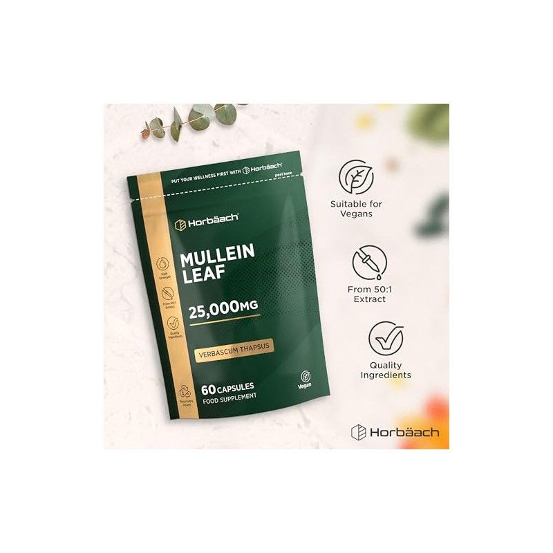 Mullein Leaf Extract 25,000mg | Max Strength Formula for Men