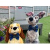 New Dogs Bow Tie Tartan woven Elastic Band attach COLLAR