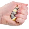 2.5" Squish Money Squeeze Money Roll