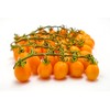 Cosi Come - Datterino, Italian Yellow Tomatoes Unpeeled (12.35 oz),